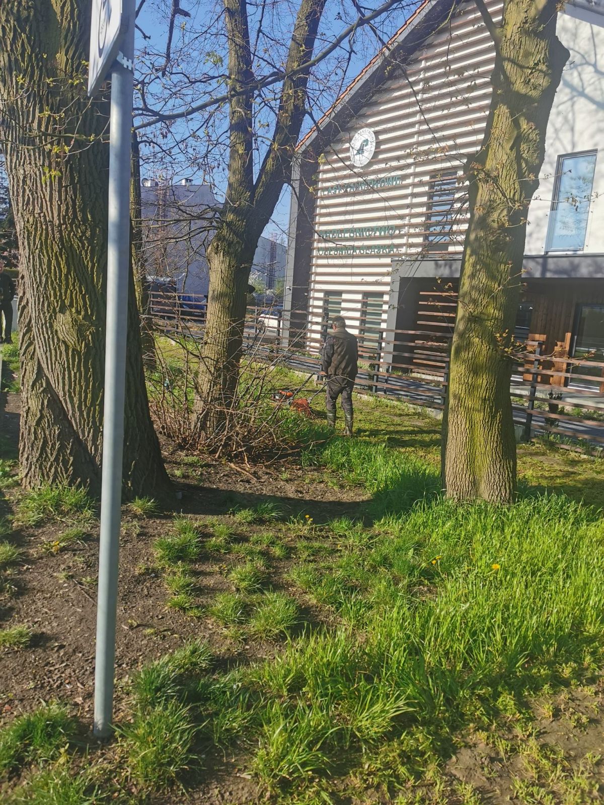 łąka kwetna
